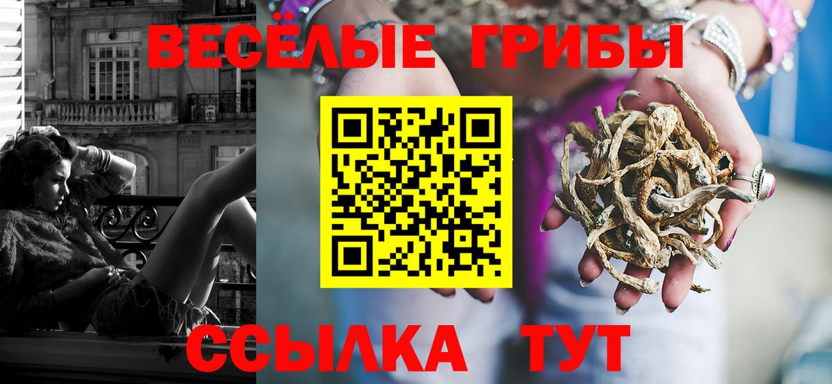 Псилоцибиновые грибы Magic Shrooms Медногорск