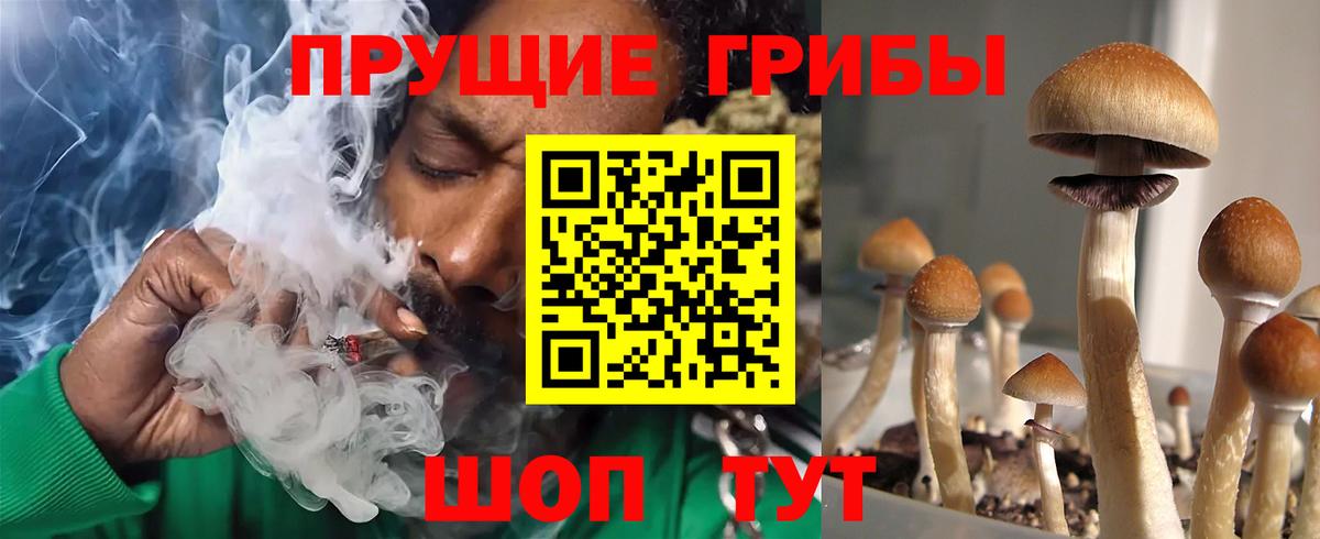 Медногорск  Галлюциногенные грибы мухоморы  Вход с VPN 